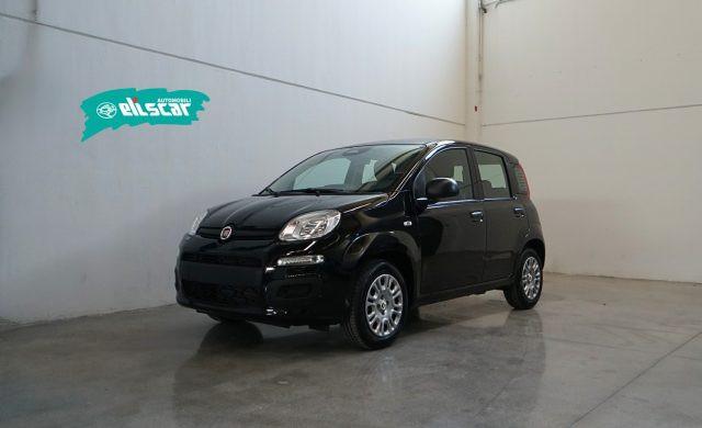 FIAT Panda 1.0 FireFly S&S Hybrid Icon