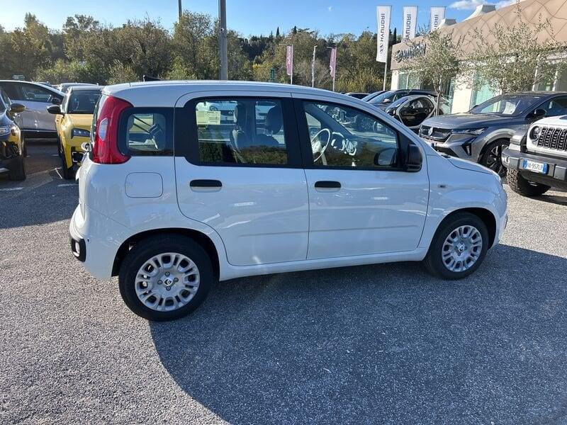 FIAT Panda New 1.0 70cv Hybrid Panda