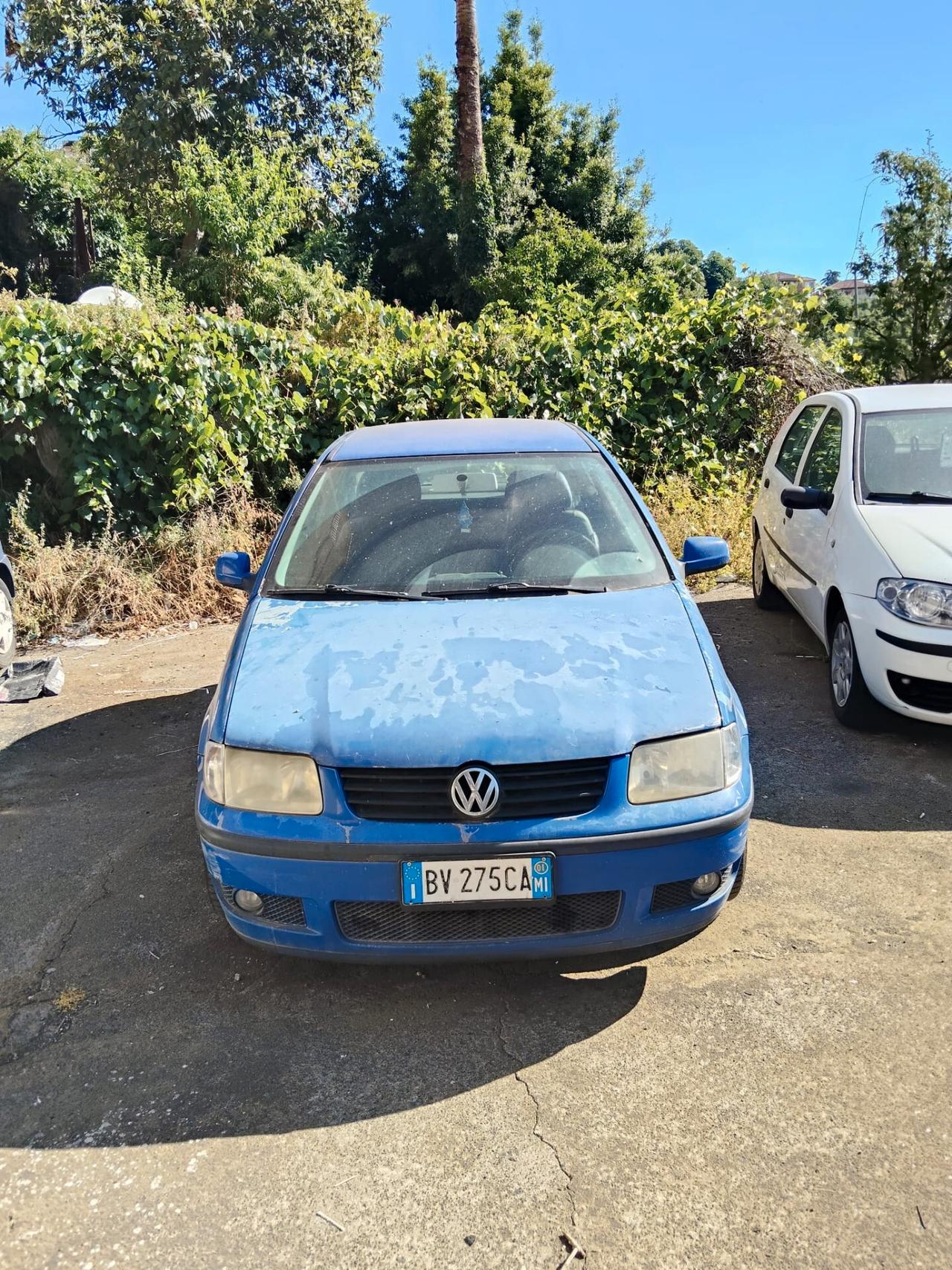 Volkswagen Polo 1.4 TDI cat 3 porte Comfortline