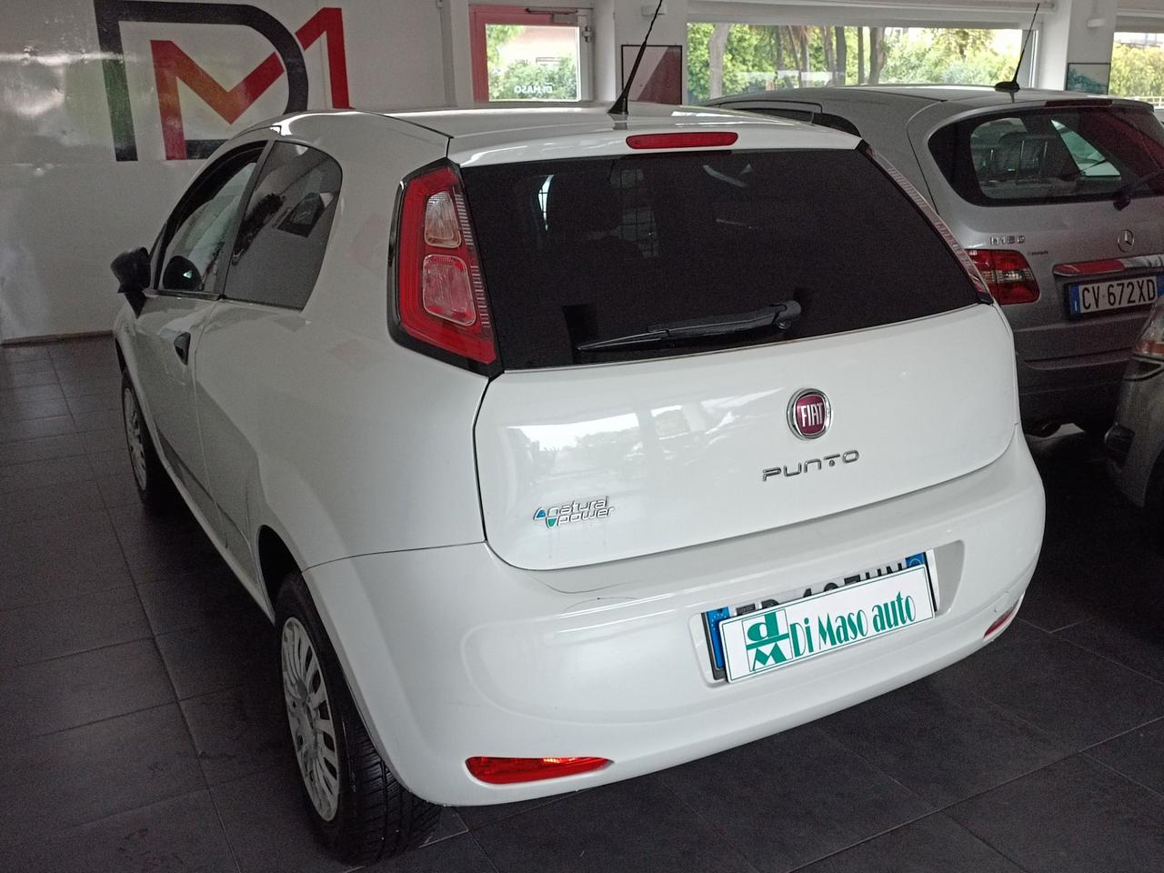 Fiat Punto Evo due posti autocarro