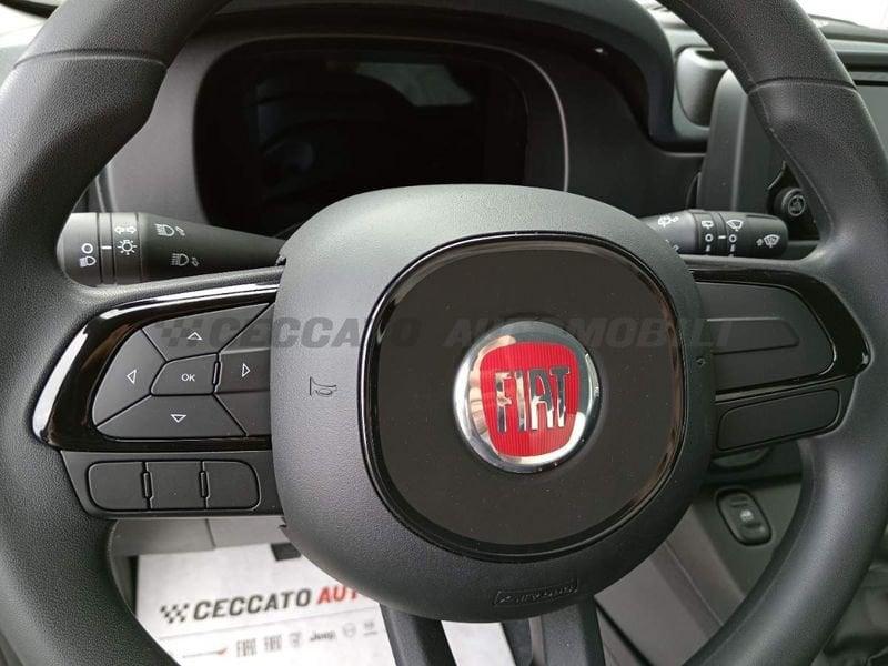 FIAT Panda Panda 1.0 firefly hybrid s&s 70cv