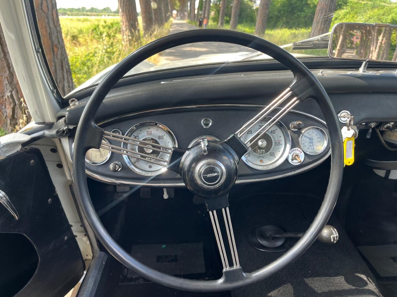 Austin Healey 100/6 BN4 2700 ASI