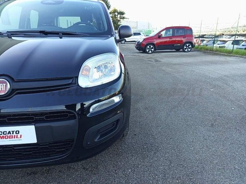 FIAT Pandina Pandina 1.0 65cv Hybrid Icon