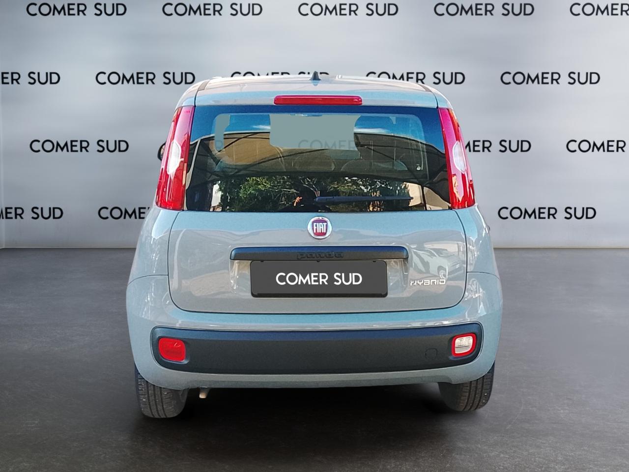 FIAT Panda III 2021 - Panda 1.0 firefly hybrid s&s 70cv
