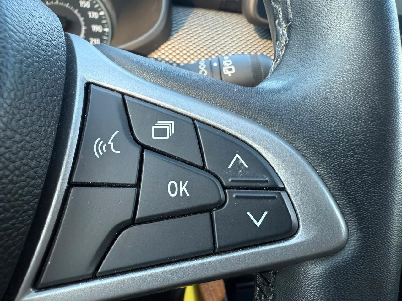 Dacia Sandero Stepway 1.0 tce 100cv GPL Garanzia ufficiale