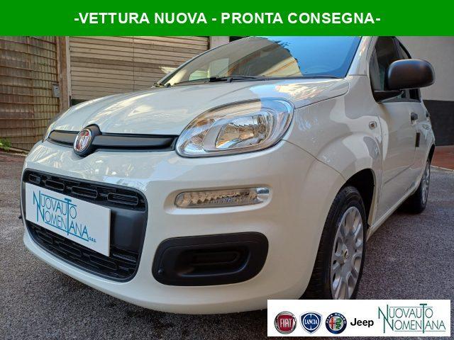 FIAT Panda 1.0 FireFly S&S Hybrid Icon 5°Posto Auto Nuova