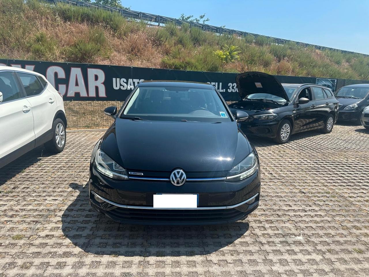 Volkswagen Golf 1.4 TGI 5p. Executive BlueMotion-11/2017