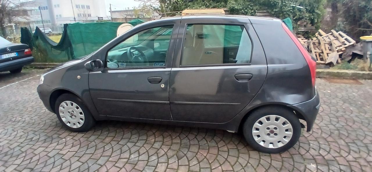 Fiat Punto 1.2 5 porte neopatentati