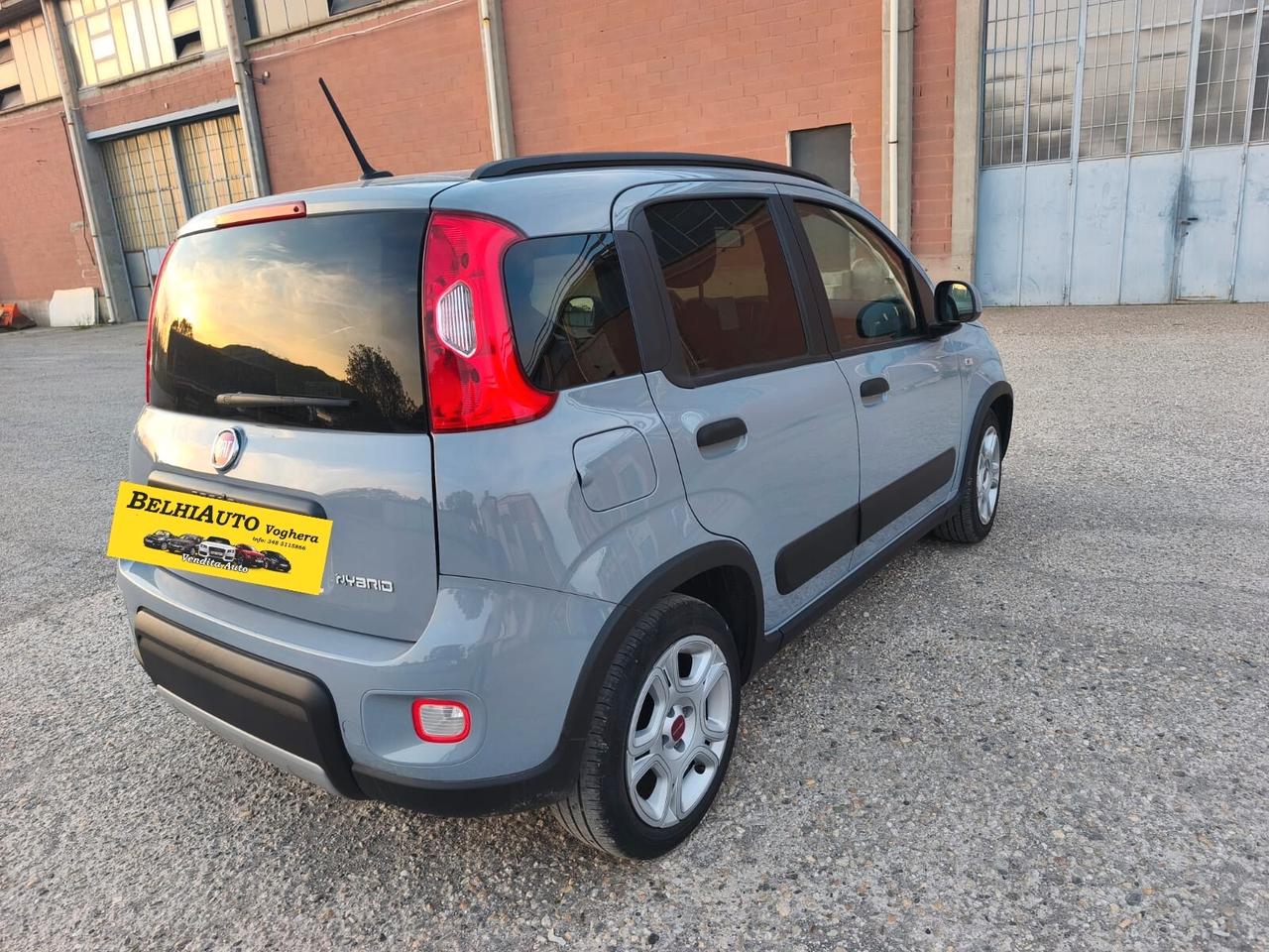 Fiat Panda 2022---1.0 Benzina Ibrida Neopatentati