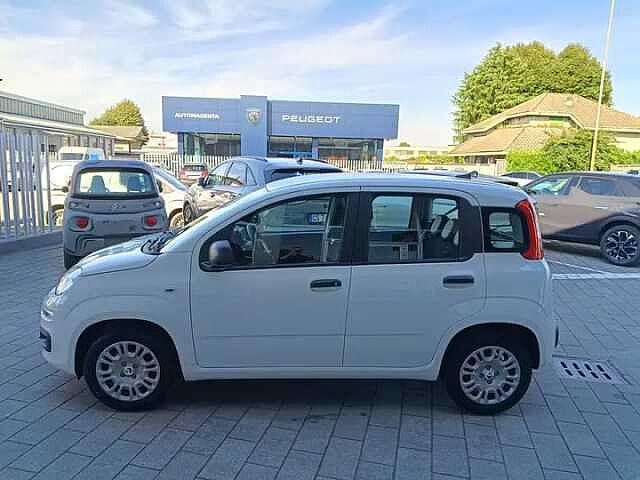 Fiat Panda Hybrid 1.0 FireFly 69cv ICON AZIENDALE