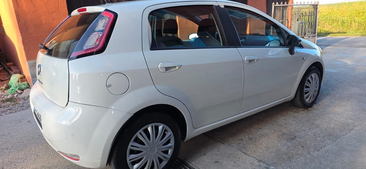 Fiat Punto 1.4 8V 5 porte Easypower Lounge gpl nuovo