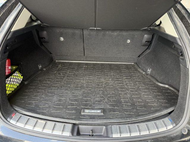 LEXUS NX 300h NX Hybrid 4WD Premium