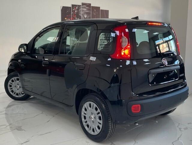 Fiat Panda Pandina 1.0 FireFly 65 CV Hybrid Icon / 5 posti