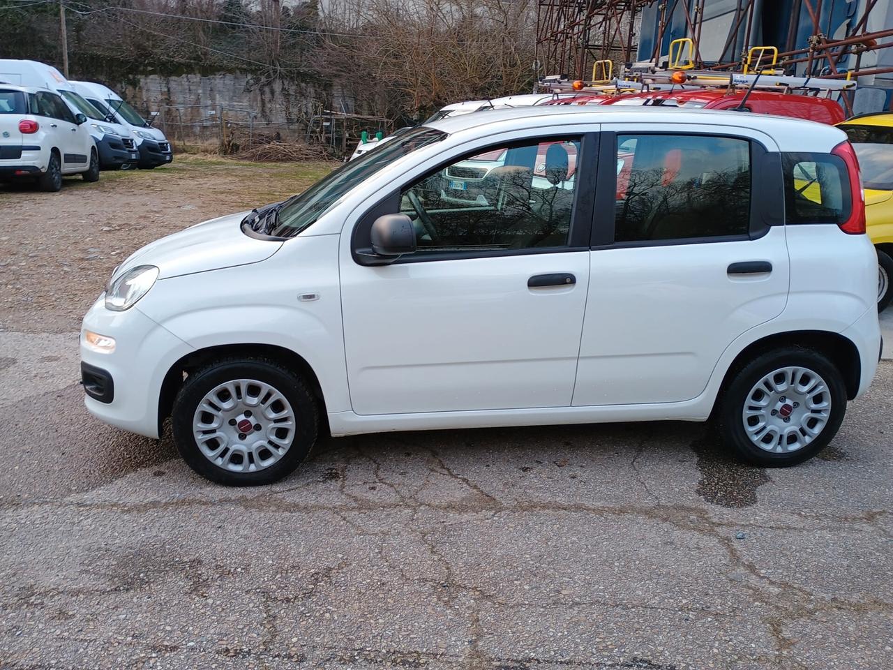 Fiat Panda 1.2 benzina UNICO PROPRIETARIO
