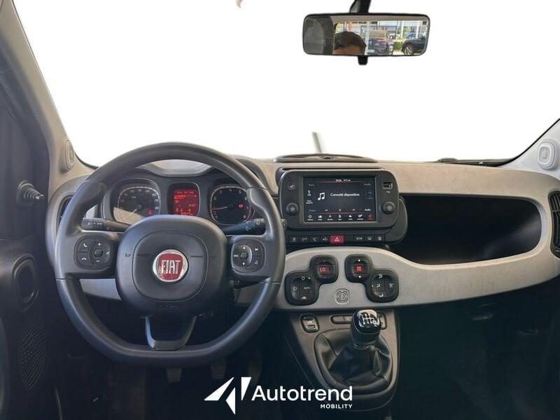 FIAT Panda Cross 1.0 FireFly 70 CV S&S Hybrid City Cross