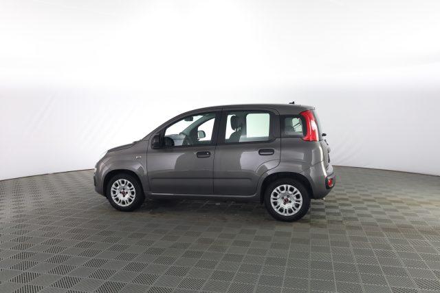 FIAT Panda Panda 1.0 FireFly 70cv S&S Hybrid E6d-Final EASY