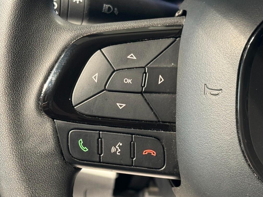 Fiat Pandina Cross 1.0 firefly hybrid Virtual App conn Neopat