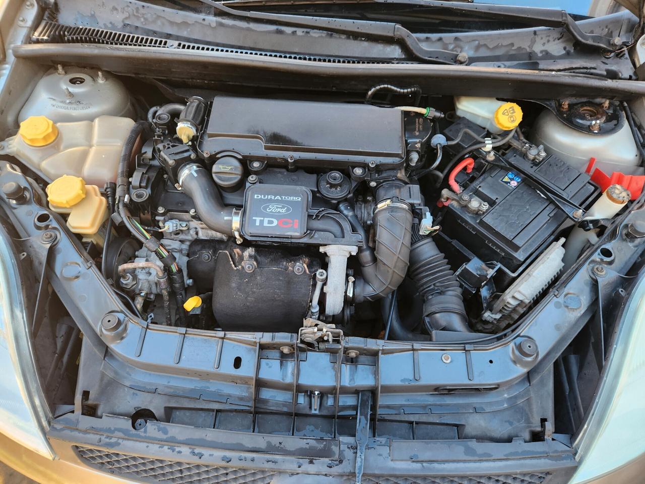 Ford Fiesta 1.4 TDCi 5PORTE UNICOPROPRIETARIO