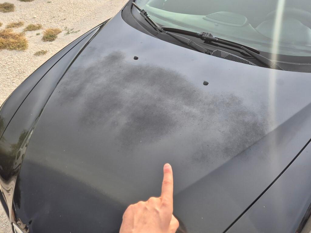 Alfa Romeo 147 1.6 16V TS GPL 5 porte Moving