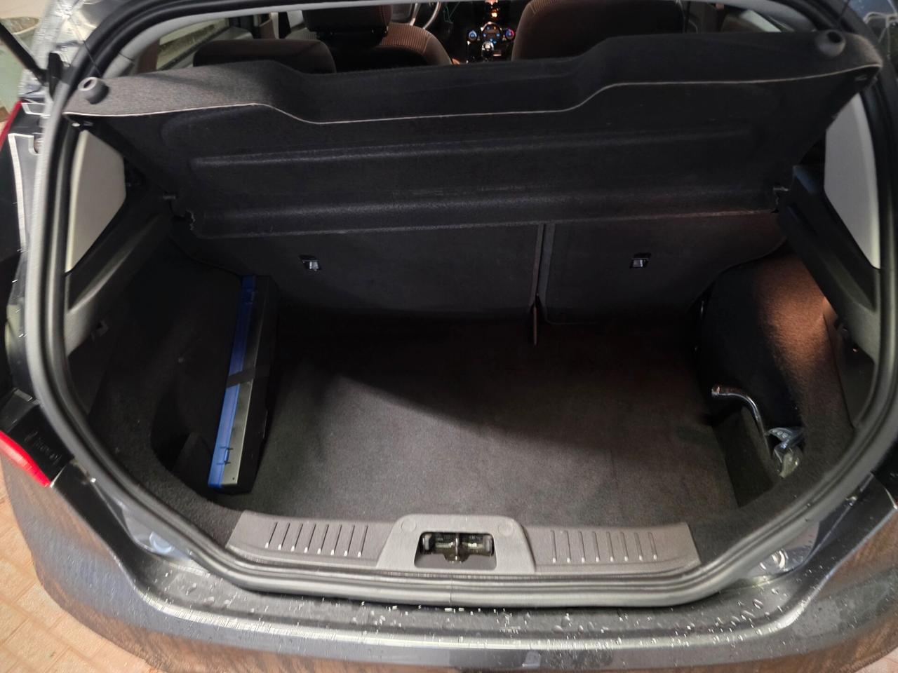 Ford Fiesta Plus 1.5 TD perfetta garantita 12 m