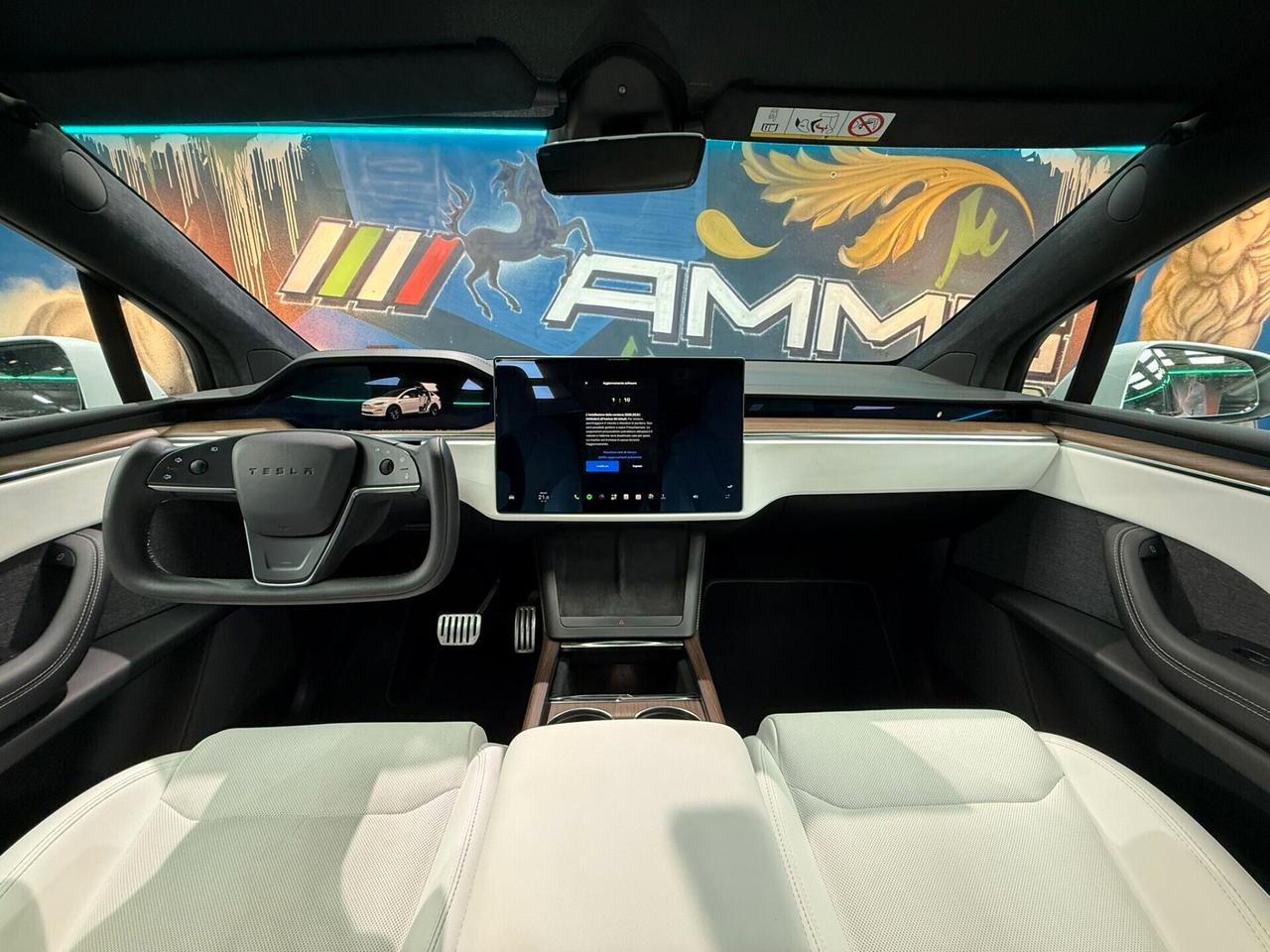 Tesla Model X LONG RANGE (329)