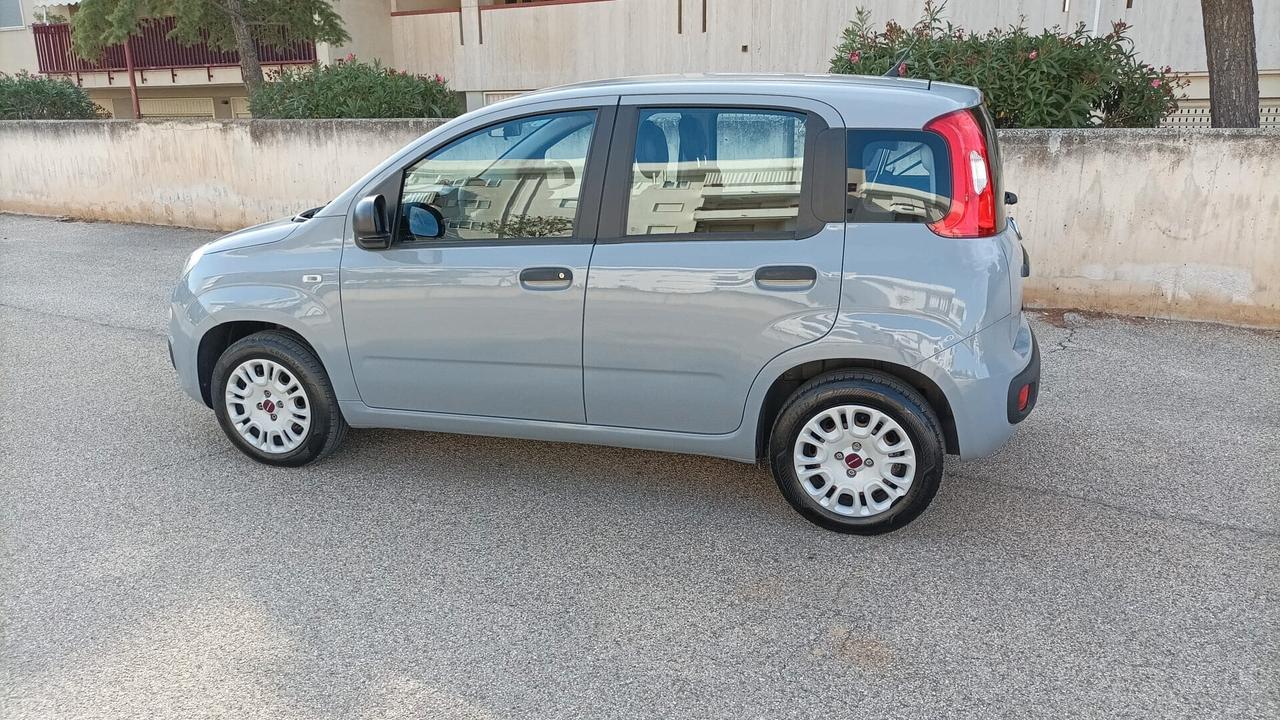 Fiat Panda 1.2 EasyPower Easy