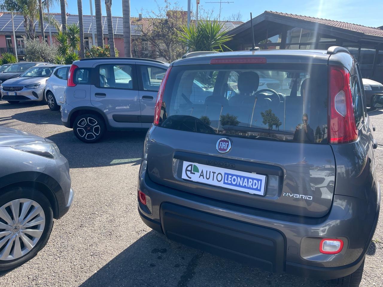 Fiat Panda 1.0 FireFly S&S City Life vari colori