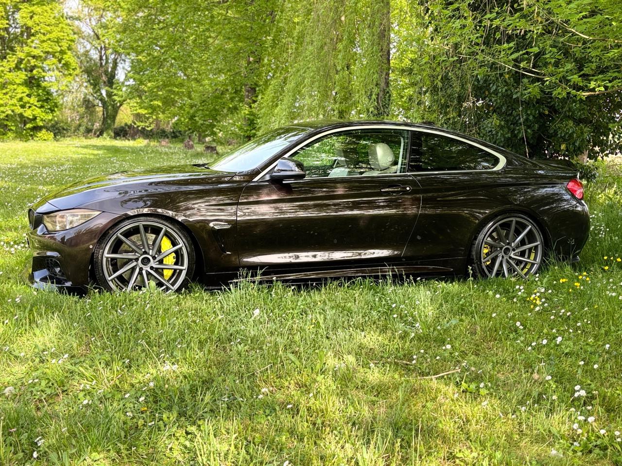 Bmw 428 428i Coupé Luxury