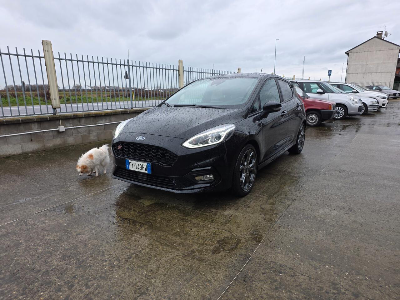 Ford Fiesta 1.5 EcoBlue 5 porte ST-Line