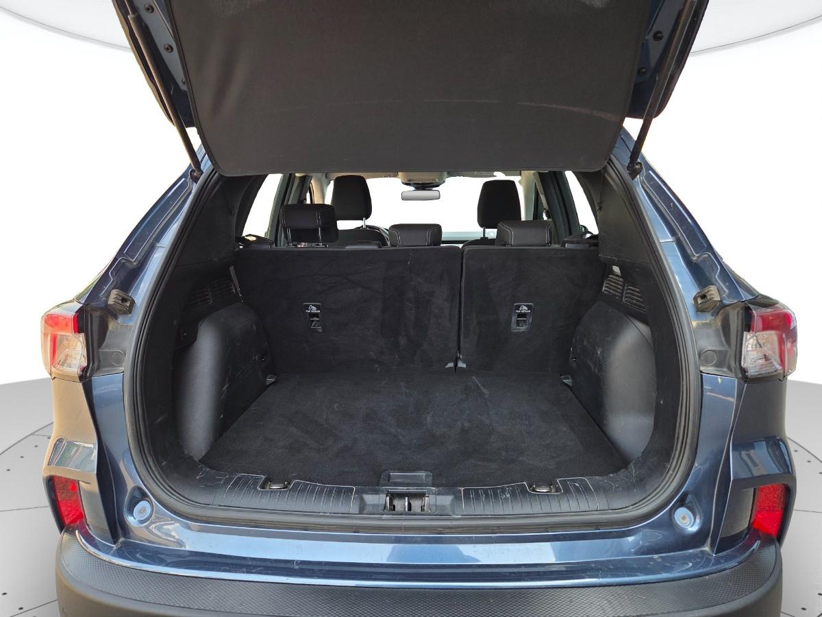 FORD Kuga 1.5 ecoblue Titanium Business 2wd 120cv auto