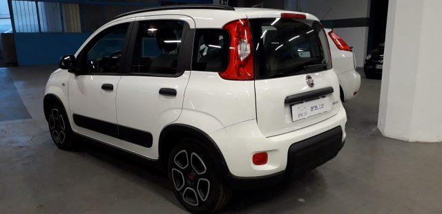 FIAT Panda 1.0 FireFly S&S Hybrid 70 CV CITY LIFE