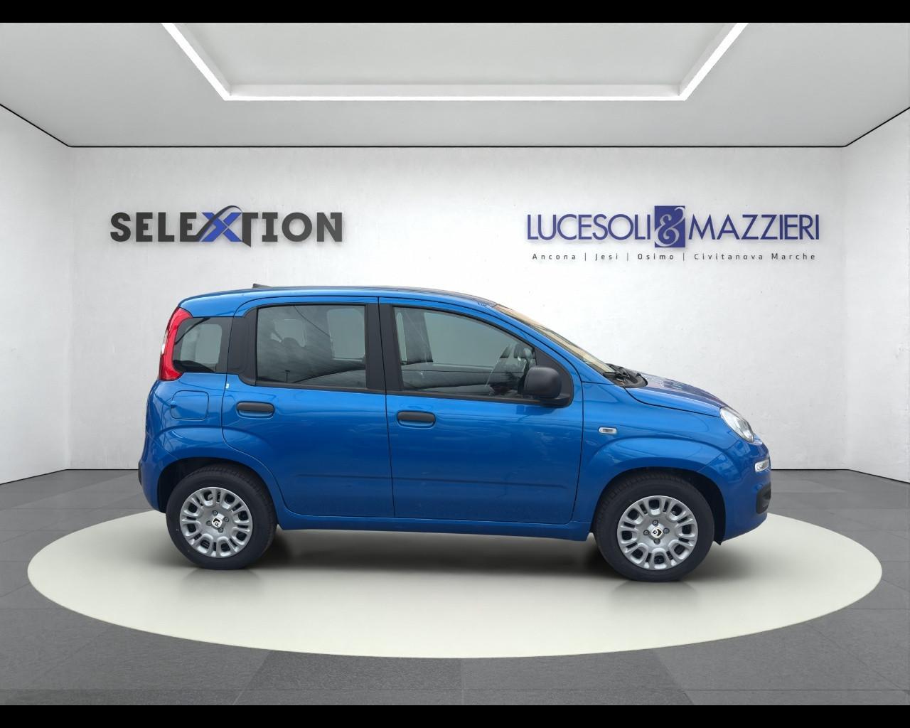 FIAT Panda 3ª serie - Panda 1.0 FireFly S&S Hybrid