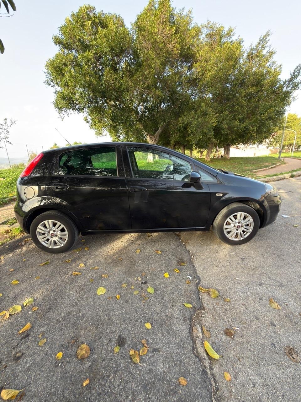 Fiat Punto 1.2 8V 5 porte Street