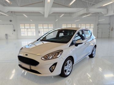 FORD FIESTA 1.5 EcoBlue 85CV Business 5 PORTE