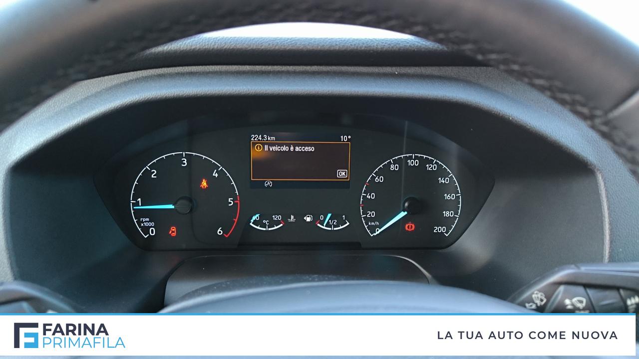 FORD Tran V363 TA Van Trd 170cv MHEV 350 L2H2