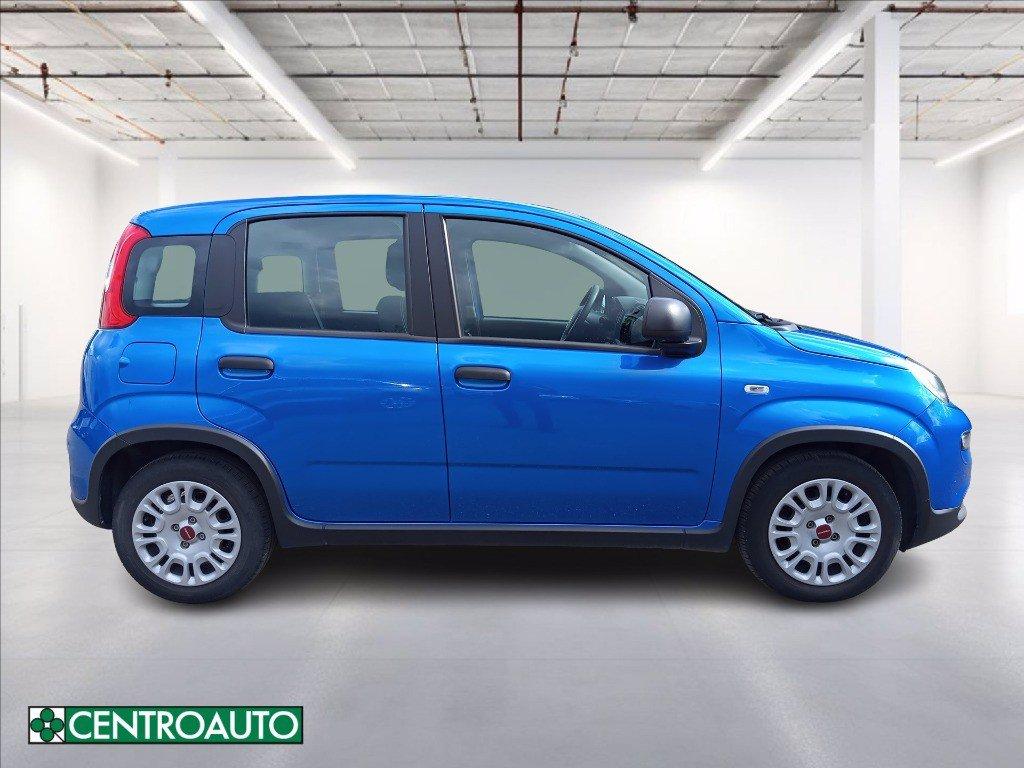 FIAT Panda 1.0 firefly hybrid s&s 70cv del 2024