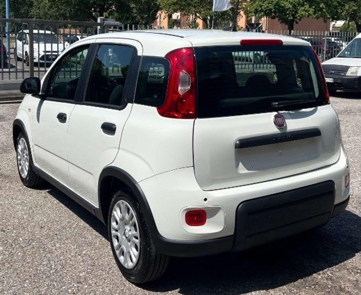 Fiat Panda 1.0 FireFly S&S Hybrid AUTO A NOLEGGIO