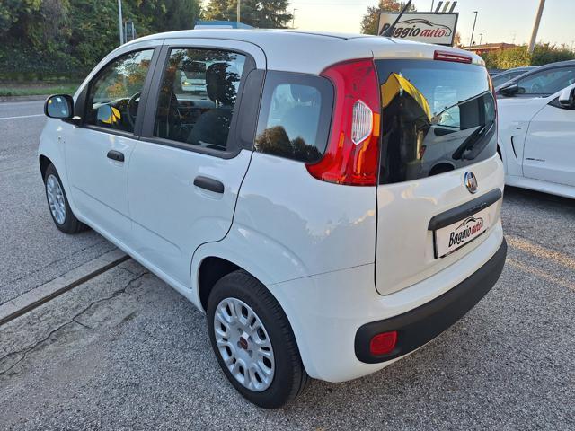 FIAT Panda 1.2 Easy OK X NEOPATENTATI N°FY852