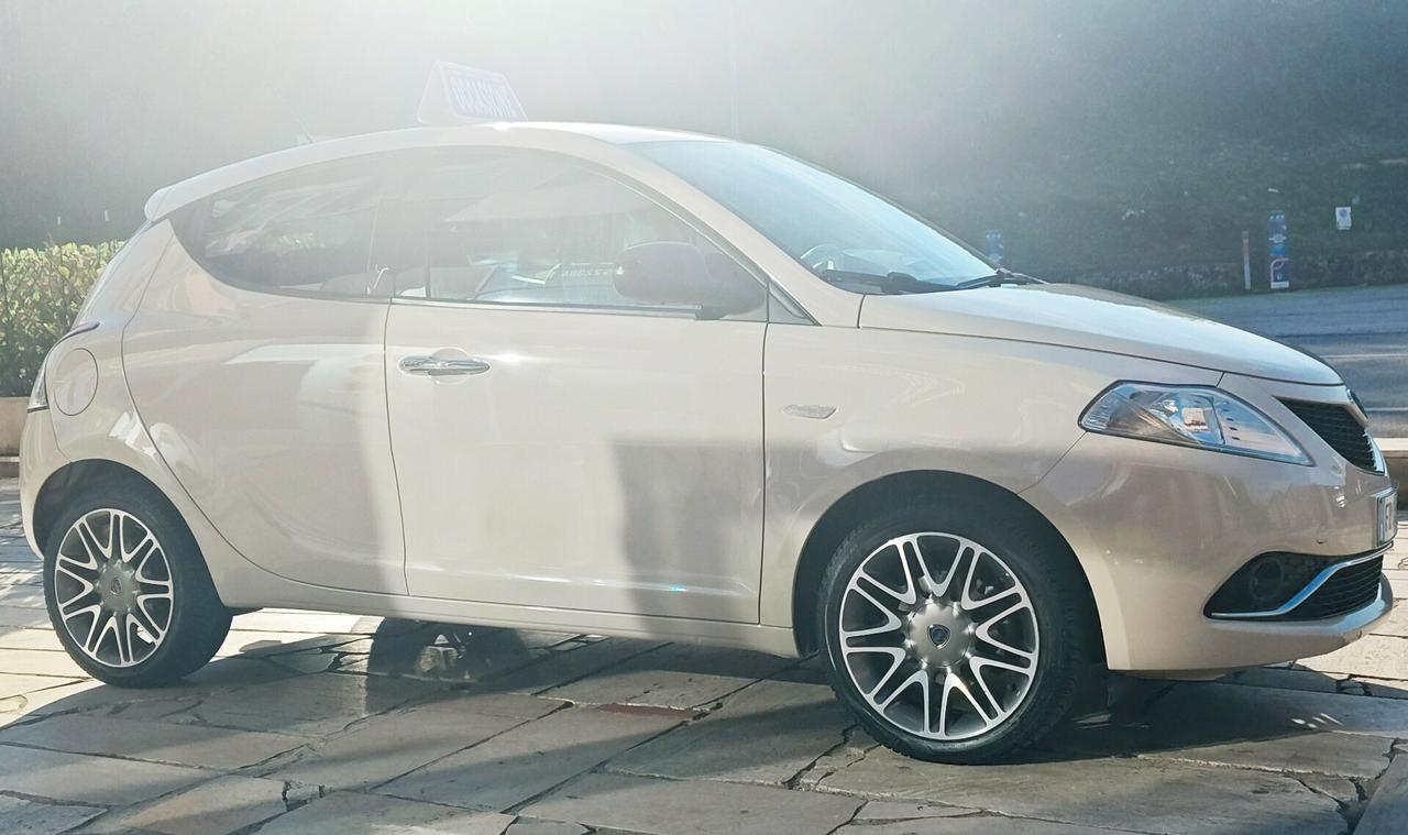 LANCIA YPSILON 1.2 69 CV 5P. PLATINUM