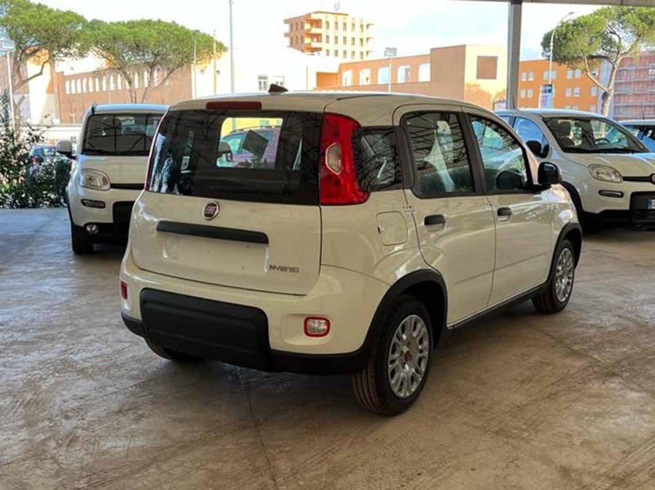 FIAT Panda III 2021 - Panda 1.0 firefly hybrid s&s 70cv