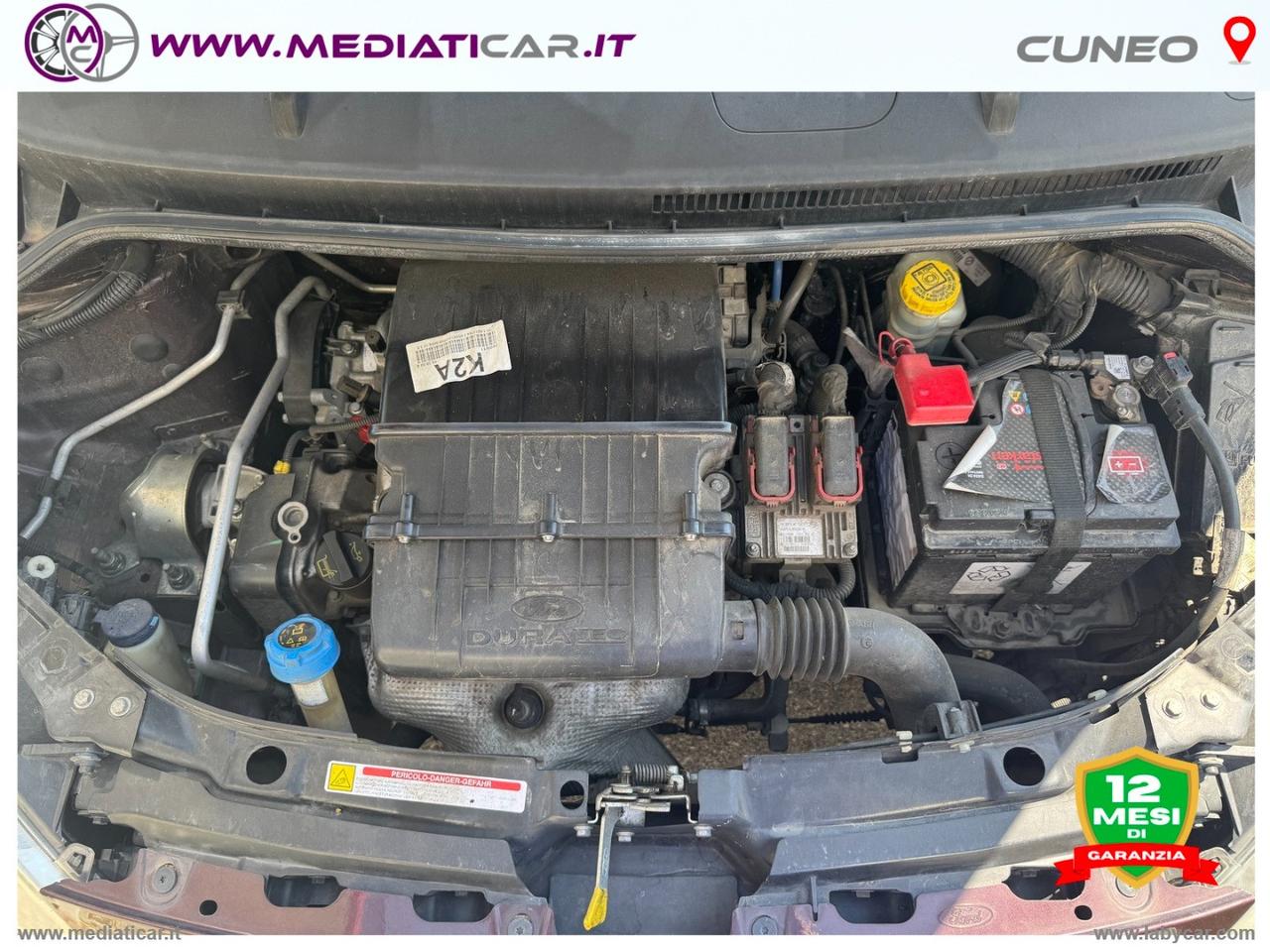 FORD Ka+ 1.2 8V 69 CV Business