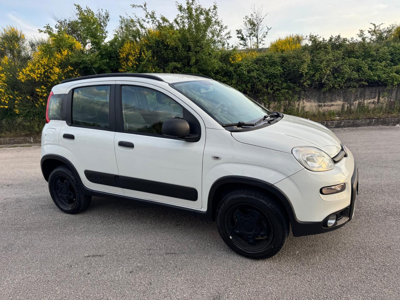 Fiat Panda 1.3 MJT 95 CV S&S 4x4