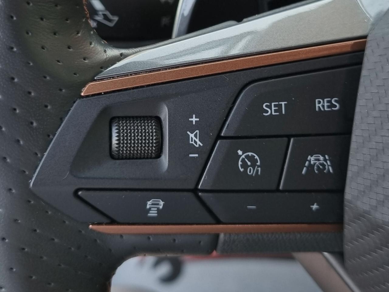 Cupra Formentor 2020 2.0 tdi 4drive 150cv dsg