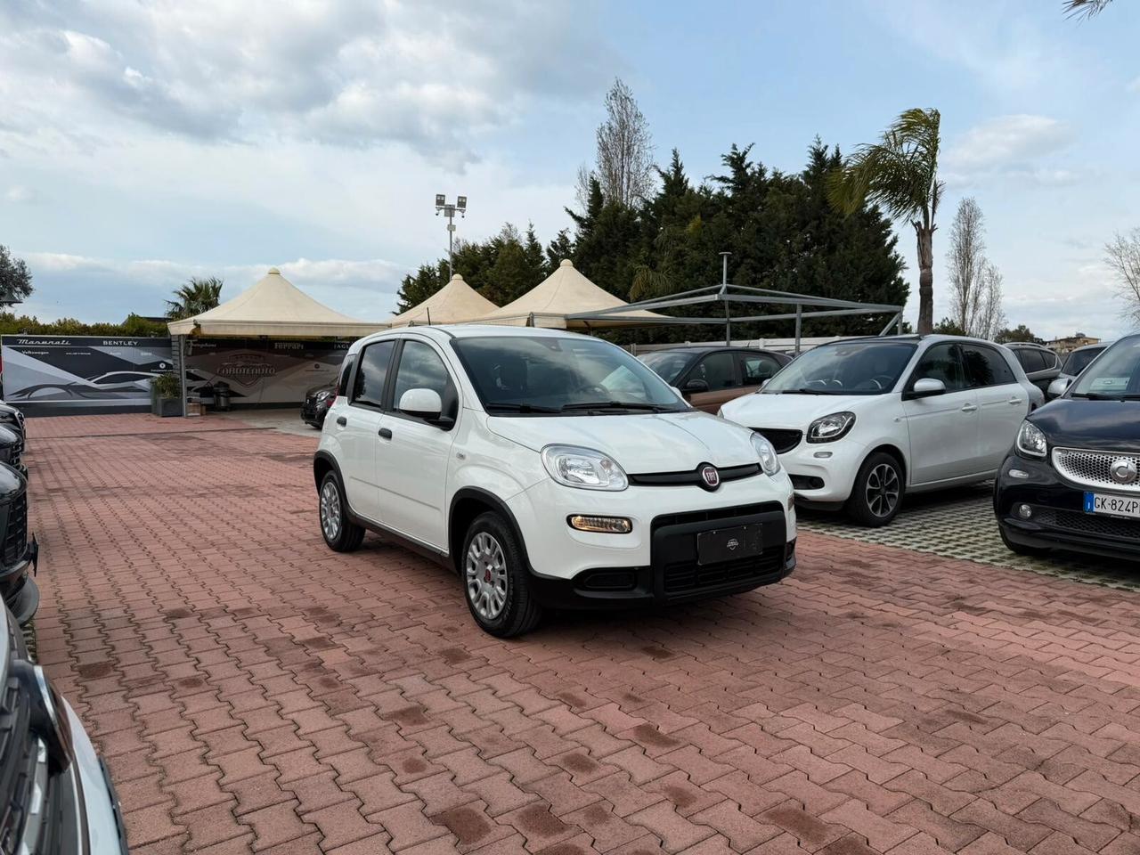 Fiat Panda 1.0 FireFly S&S Hybrid (IVA DEDUCIBILE)
