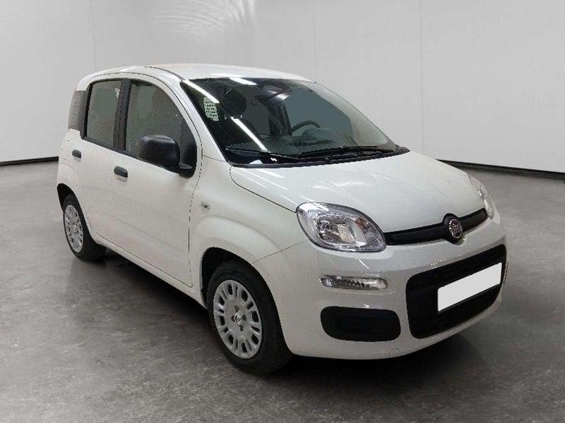 FIAT Pandina 1.0 firefly hybrid Icon s&s 70cv 5p.ti