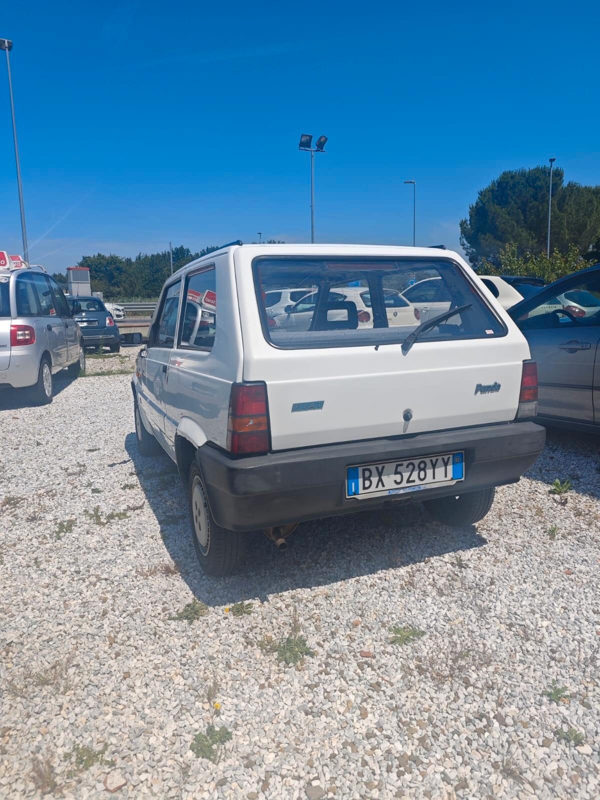 Fiat Panda 1100 i.e. cat College