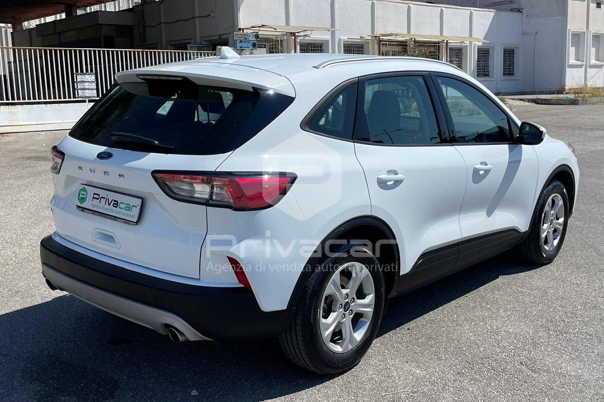 FORD Kuga 1.5 EcoBlue 120 CV 2WD Titanium Business