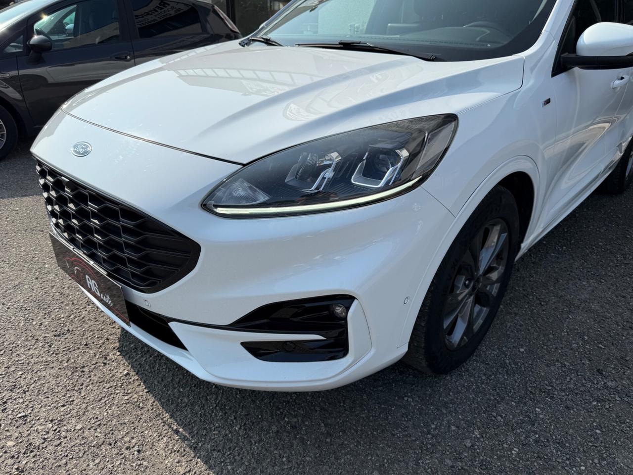 Ford Kuga 2.0 EcoBlue Hybrid 150 CV 2WD ST-Line