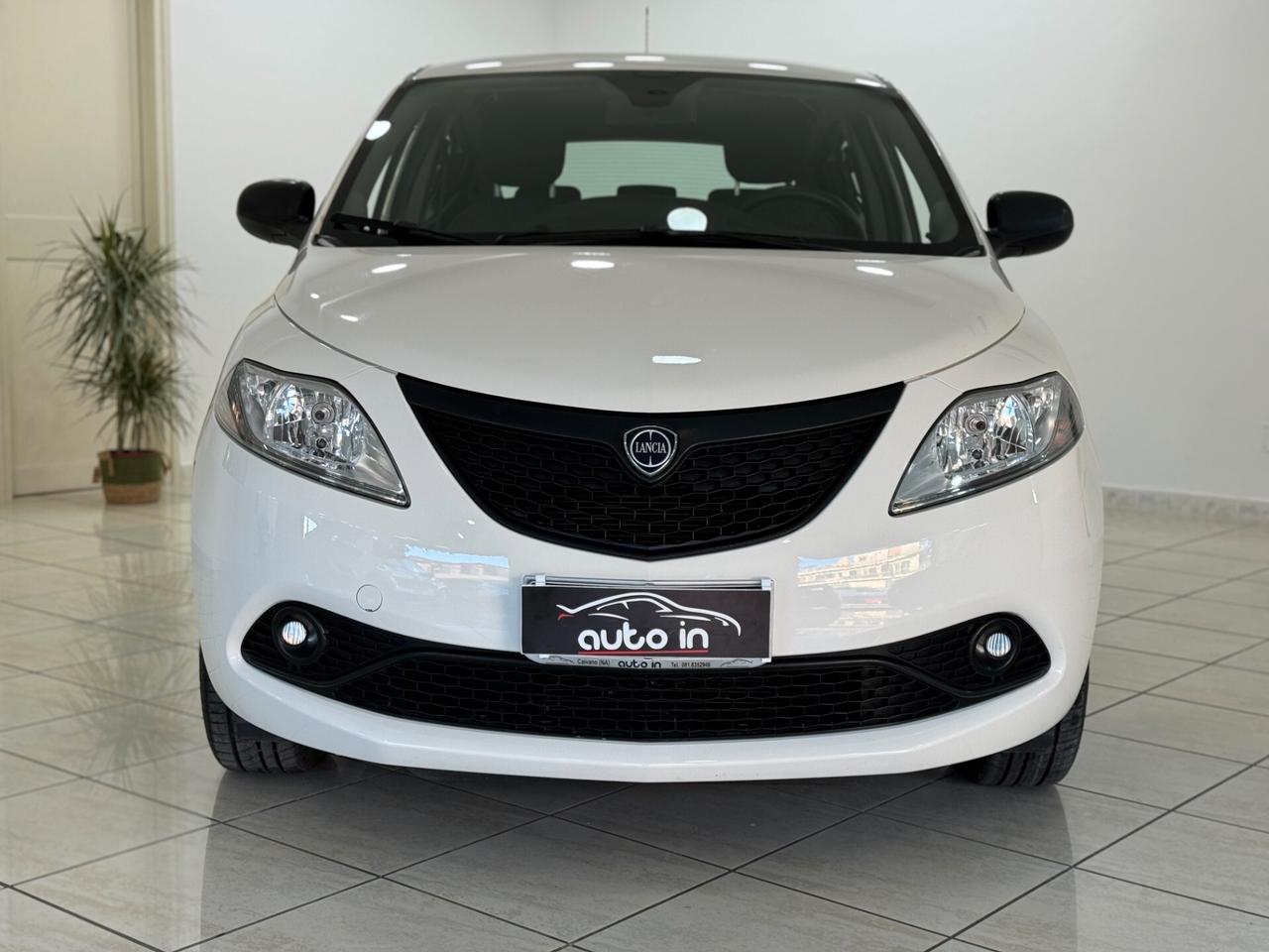 Lancia Ypsilon 1.2 69 CV 5 porte Elefantino Blu