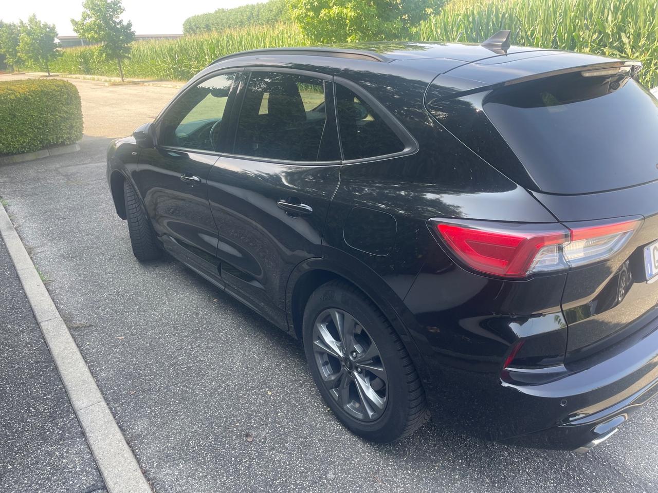 Ford Kuga 1.5 EcoBoost 120 CV 2WD Titanium
